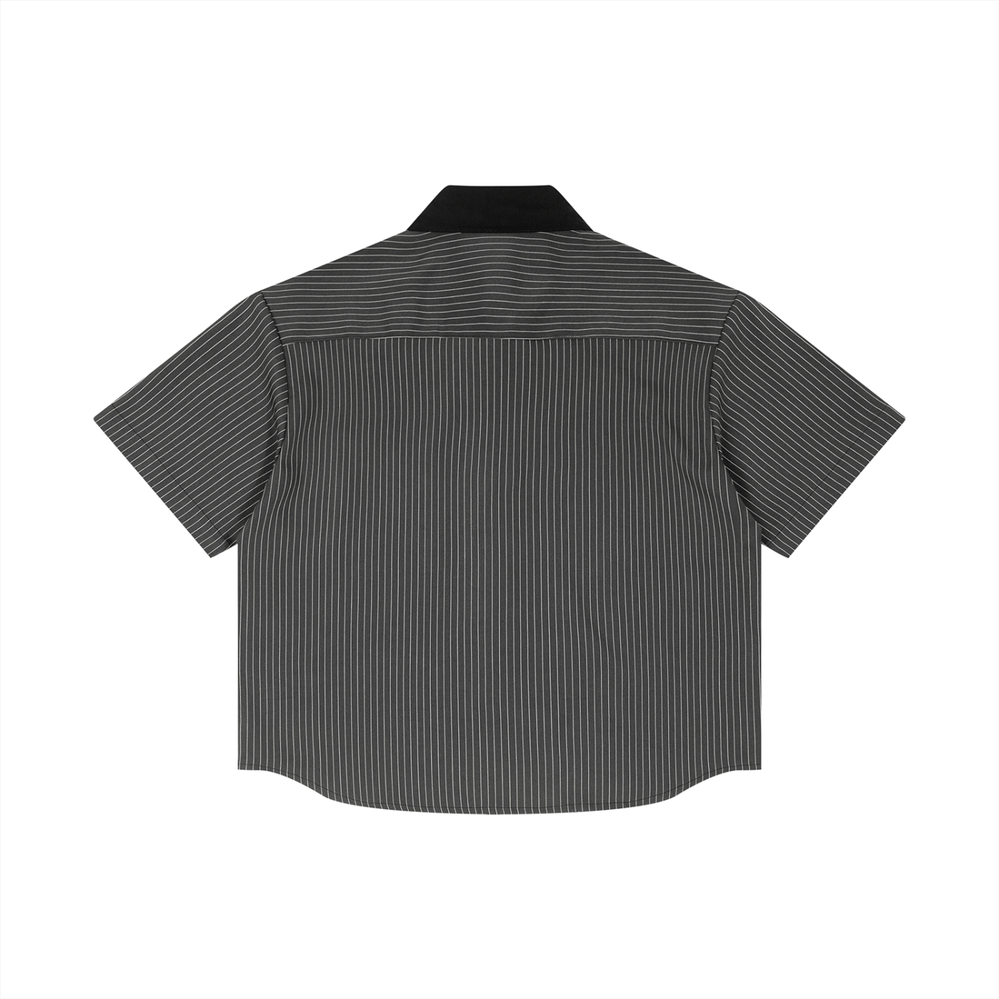 Jesus Striped Collar Shirt